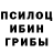 Псилоцибиновые грибы мухоморы Damirka Maga