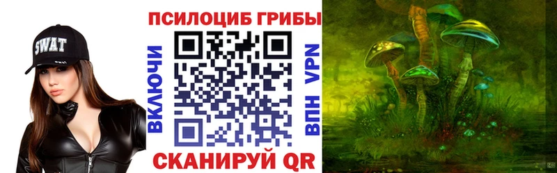 Галлюциногенные грибы Psilocybine cubensis  Южа 